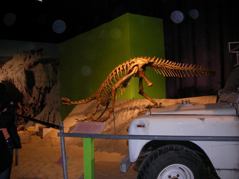 LV Zeltlager 2008 092.jpg